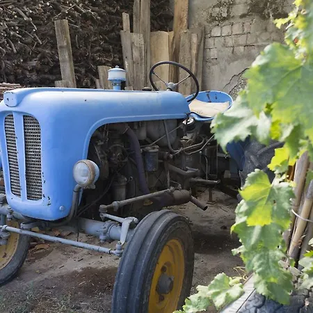 Da Zarè Appartamento *